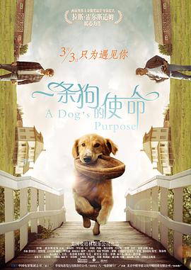 欧美 午夜 国产